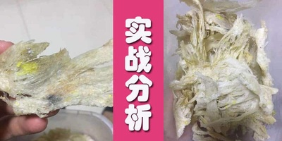 【燕窝实战分析】我的燕窝为什么有这么多黄点？燕窝发霉？