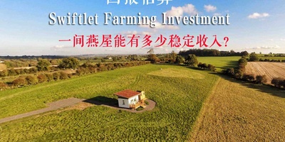 【燕屋出售】马来西亚新的燕屋已经慢慢开始有“鸟”了