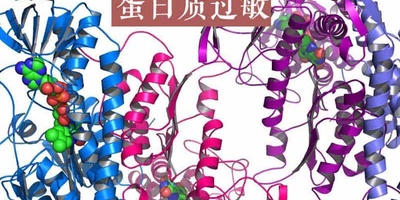【燕窝过敏】蛋白质过敏是怎么样的一种体验？什么人不能吃燕窝？
