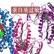 【燕窝过敏】蛋白质过敏是怎么样的一种体验?什么人不能吃燕窝?