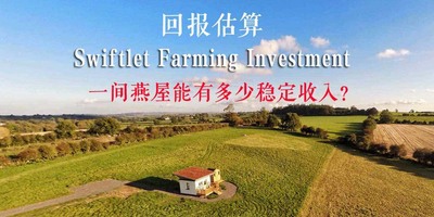 【燕屋投资】拥有一间燕屋理论上是可以有多少收益呢？