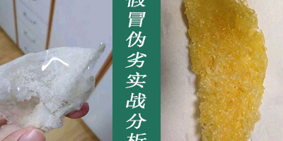 【燕窝是什么】燕窝假冒伪劣实战分析，漂黄和漂白是长得怎么样的？