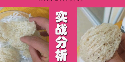 【燕窝分级】燕窝假冒伪劣之冒充燕盏的燕饼