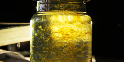 【燕窝如何泡发】关于燕窝泡发过程中你会遇到的五个认知误区