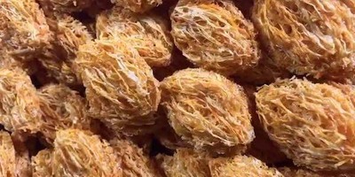 洞燕窝很贵吗？那么洞燕窝为什么都做成饼？