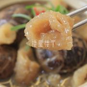 【燕窝替代品】天然花胶鱼肚的妙用