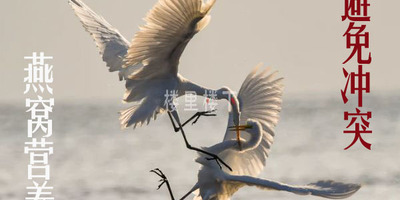 哪些食物不能跟燕窝一起炖煮？燕窝犯冲食材