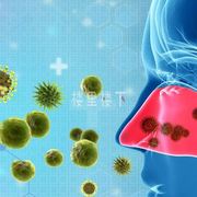 坚持吃燕窝能治疗鼻炎吗?