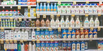 除了燕窝，备孕初期饮食还要吃些什么东西比较好呢？