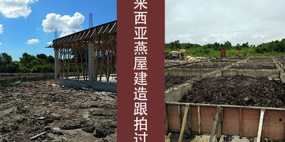 只有燕窝业内行家才能理解的燕屋建造过程【跟拍2】