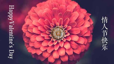 2019情人节让你的爱人围绕在鲜花与燕窝的海洋！