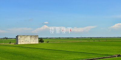 【马来西亚燕屋】燕屋多少钱可以买到一间？