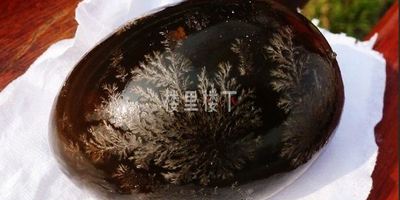 【孕妇饮食】我媳妇怀孕皮蛋可以吃的吗？