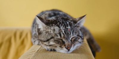 怀孕熬夜可不是什么好习惯，孕妈妈们要坚决改掉！