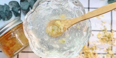具有去风热防咳嗽的老冰糖菊花燕窝羹