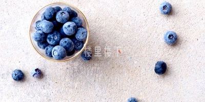 蓝莓燕窝羹如果较真煮起来那个拍照的效果可是美到你想哭