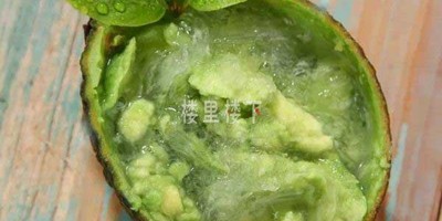 做一个非常可爱的滋补食谱名字叫牛油果炖燕窝