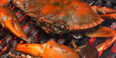 首次旅游大马你或许可以感受一番马来西亚农家乐餐厅的用餐体验