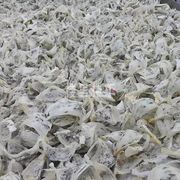 【燕窝内幕】如何正确理解燕窝亚硝酸盐存在的真正含义？