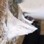 燕窝连续吃半年能有什么效果,皮肤会有什么变化吗?