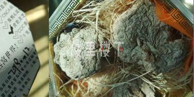 12月27日野生馬來西亞虎奶靈芝發(fā)貨?？谡?qǐng)注意查收