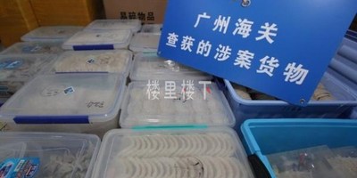 燕窩新聞：走私燕窩約19噸！廣州海關破獲億元走私燕窩大案